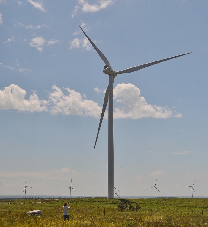 windmill farm